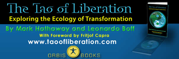 The Tao of Liberation: Exploring the Ecology of Transformation by Mark Hathaway and Leonardo Boff